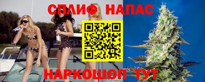 тгк Новозыбков