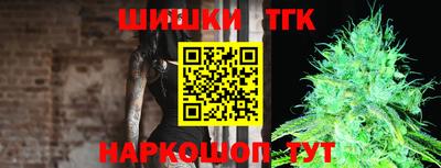 тгк Новозыбков