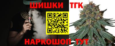 тгк Новозыбков