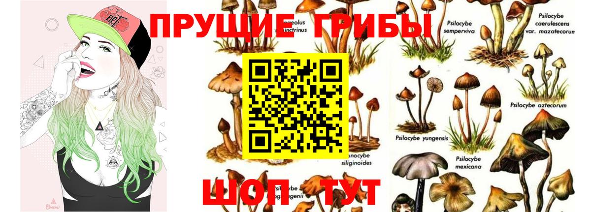 Псилоцибиновые грибы ЛСД Среднеуральск