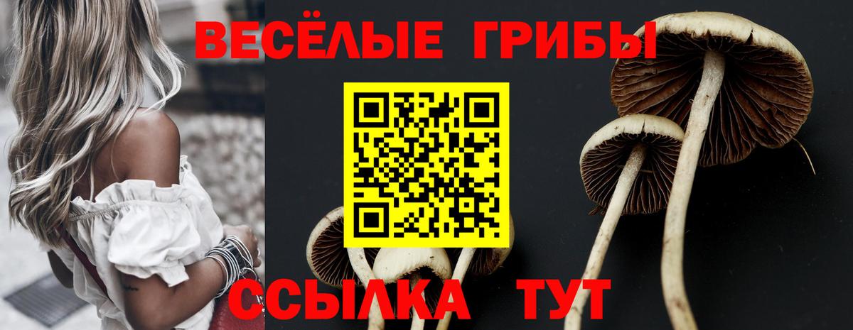 Галлюциногенные грибы Psilocybine cubensis  Галлюциногенные грибы Cubensis  Вход с VPN  Среднеуральск 